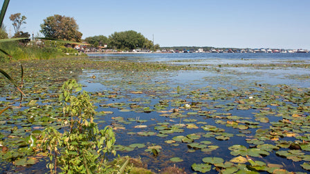 Home Repairs for Lakeside Homes Around Lake Scugog & Durham Region