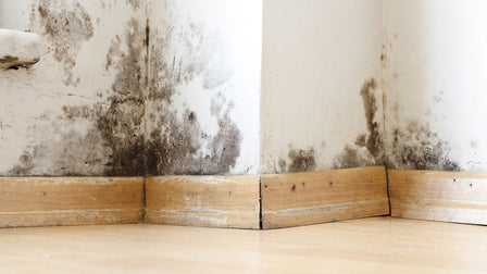 How to Prevent Water Damage in Port Perry, Oshawa, and Whitby Homes