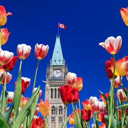 When to Call a Handyman vs a General Contractor