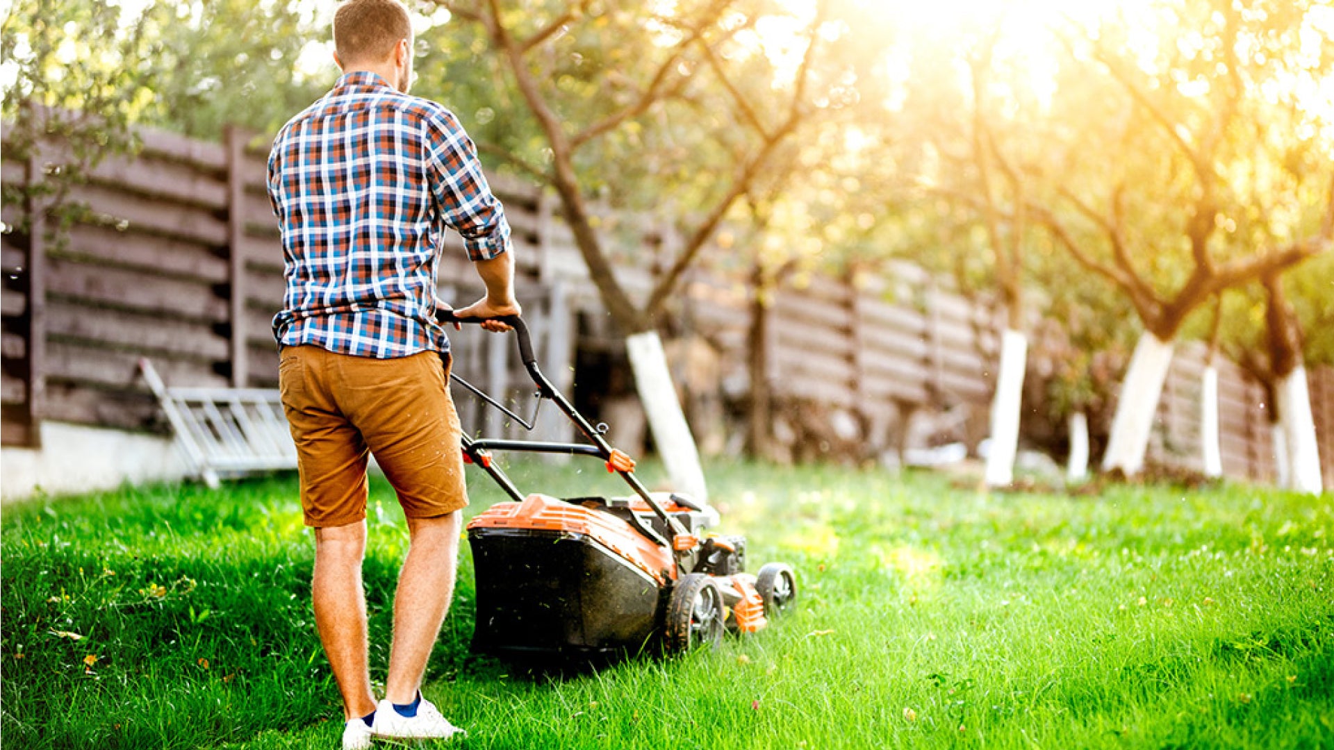 Seasonal Grass Cutting - Until November 1st