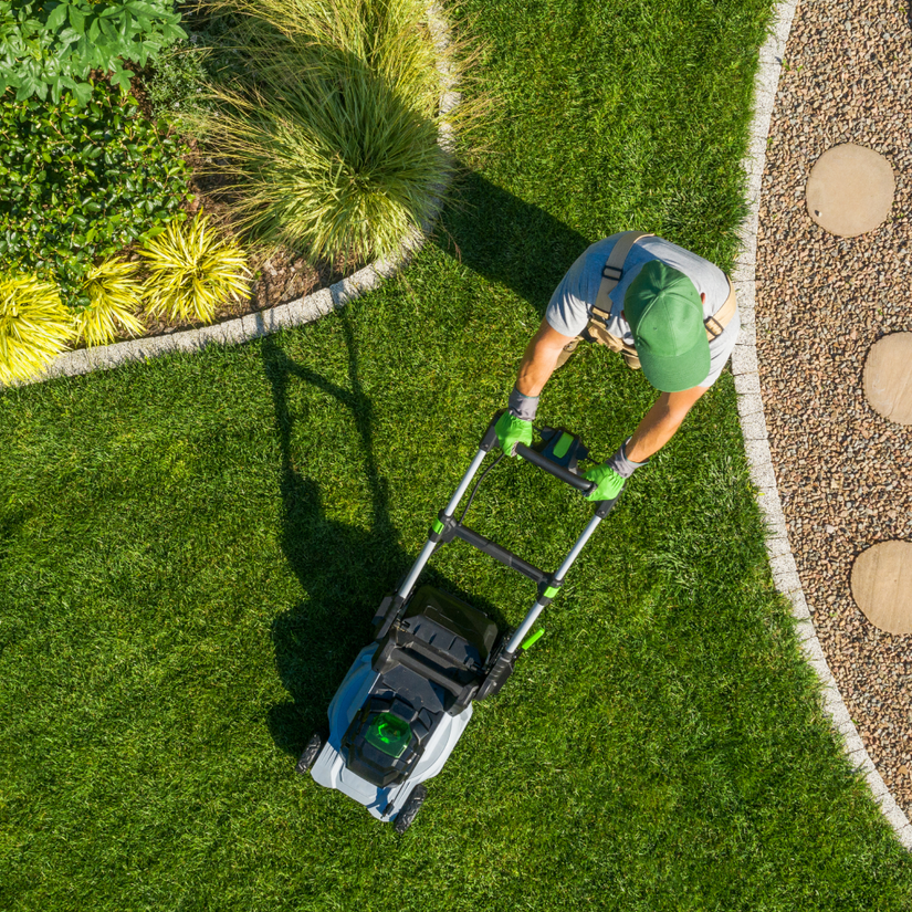 Grass Cutting & Lawn Care Services