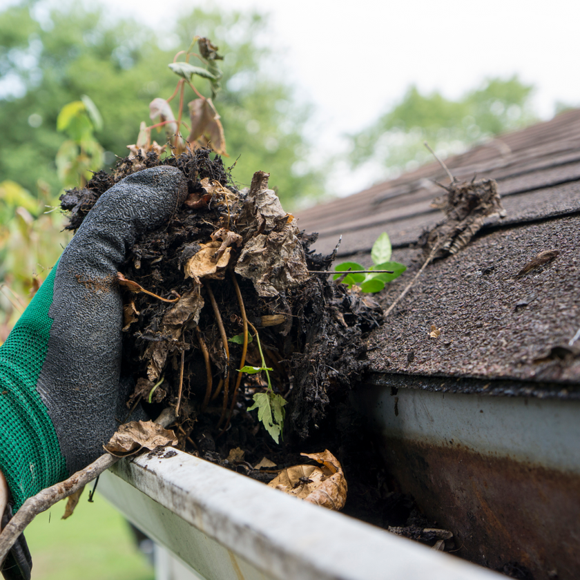 Outdoor Drains Repair & Maintenance