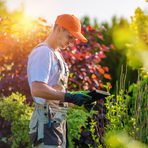 Spring Handyman Services