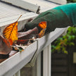 Gutter Cleaning