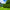 Hedge, Tree & Bed Maintenance
