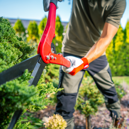 Hourly Handyman Services