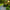 Landscaping & Garden Care