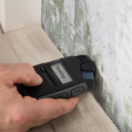 Mold Inspection & Moisture Assessment Services