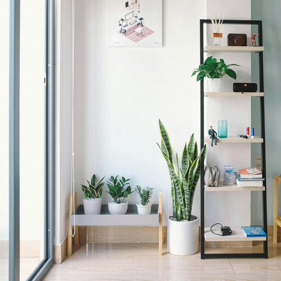 Organize At Home Packages