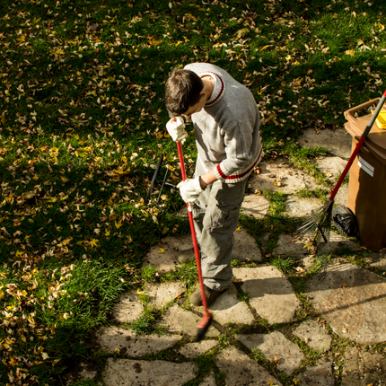 Fall Handyman Services