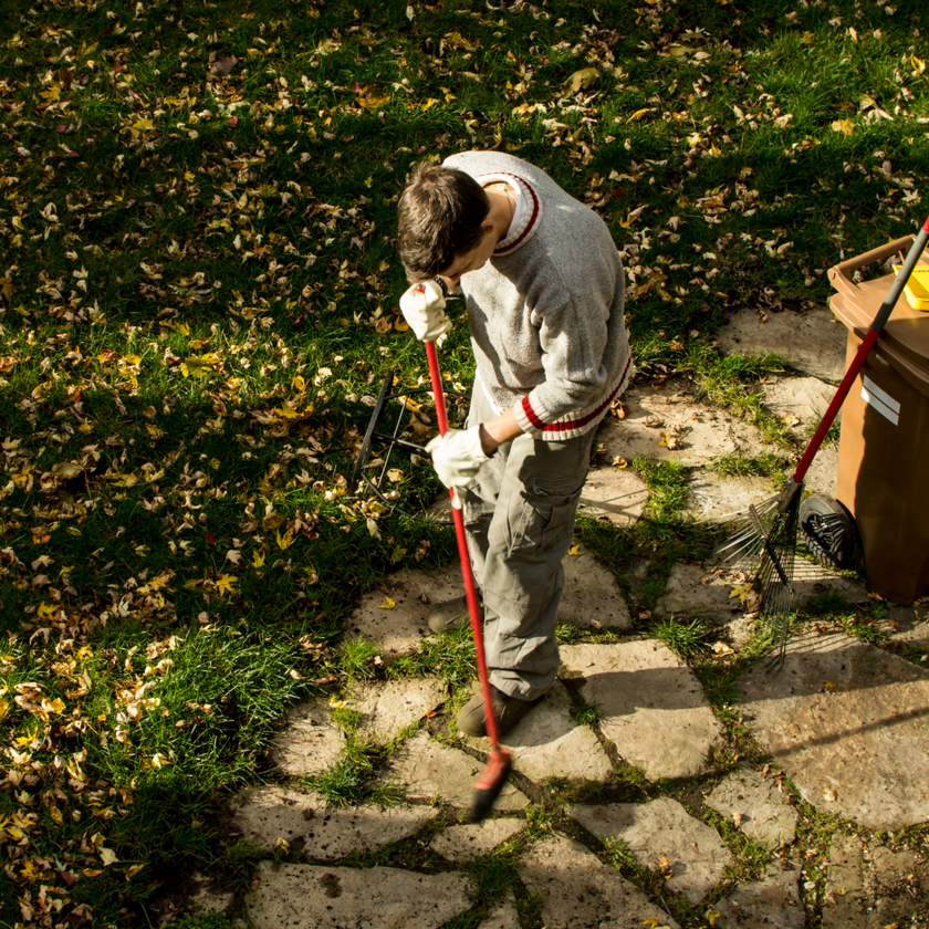 Fall Handyman Services